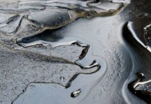 Potential Causes of an Oil Leak in Your Car