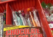 Remember the Scholastic Book Fair?