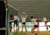 Volleyball season ends, growth expected in future