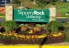 SRU stays colorful with hand-crafted flower arrangements