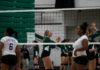 Volleyball plans to build from within freshmen class