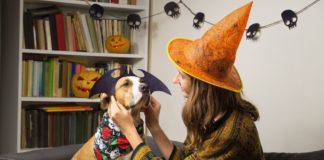 Tips for How To Put Your Dog in a Costume