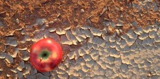 Battling food insecurity