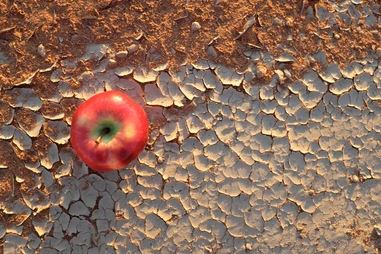 photo courtsey of shutterstock