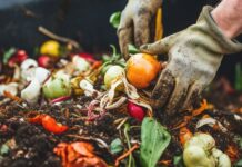 The Role of Composting in Organic Waste Management