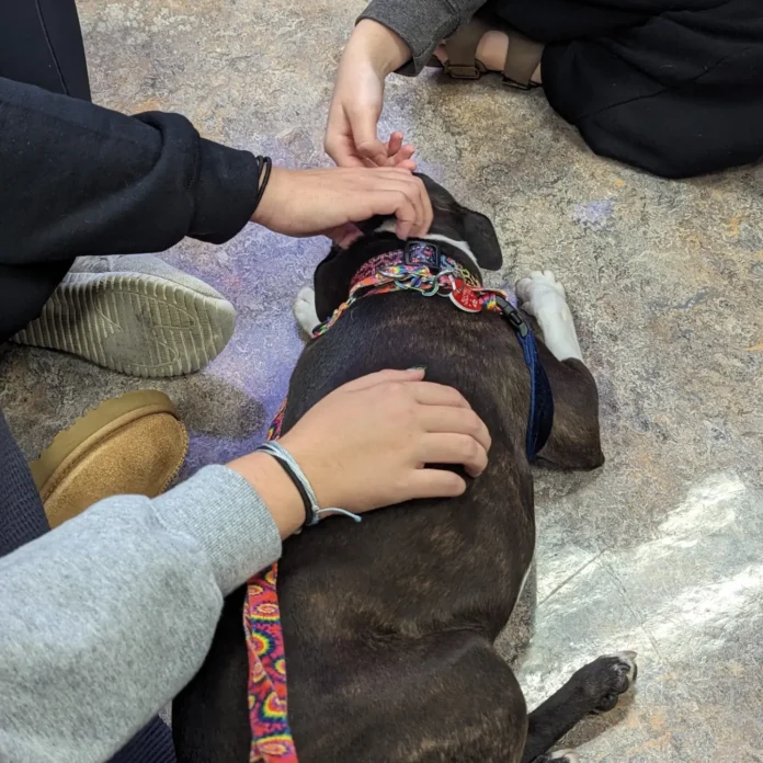 IMG_20240107_173825_914