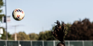 All for one, one for all