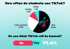 Will TikTok get banned?