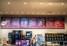 Bear Cups and Coffee Chaos