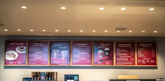 Bear Cups, Coffee Chaos