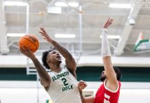 Mayo’s 22 points lead Rock to playoff clincher