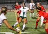 Rock offense plays strong in home win over California (Pa.)
